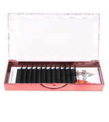 MARIA 4D W Shaped Beam Eyelash Extensions Patch Russian Private Label Wholesale Clusters Easy Fan Volume Lashes Makeup