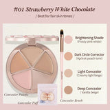 FLOWER KNOWS THE SWEETIE BEAR 4-Color Concealer Brighten Palette Covering Dark Circles Full Coverage Contouring Foundation