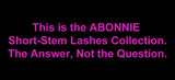 ABONNIE Premade Volume Fans Short Stem 3d/4d/5d/6d Russian  Eyelash Extension Mink Eyelash Extension All Size Lashes Tray