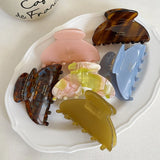1 Pack French Elegant Acetate Hair Clip New Women's Sweet Shark Clip Medium Exquisite Hair Accessories Headpiece