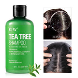Tea Tree Shampoo Soothes Dry Scalp Controls Oil Moisturizes Hair Restores Natural Shine Sulfate Paraben Free For All Hair Types
