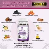 100% Himalaya Pure Shilajit Gummies 13 in 1 Original Mineral Health Supplement Non-GMO Brain Memory Cognitive Energy Health