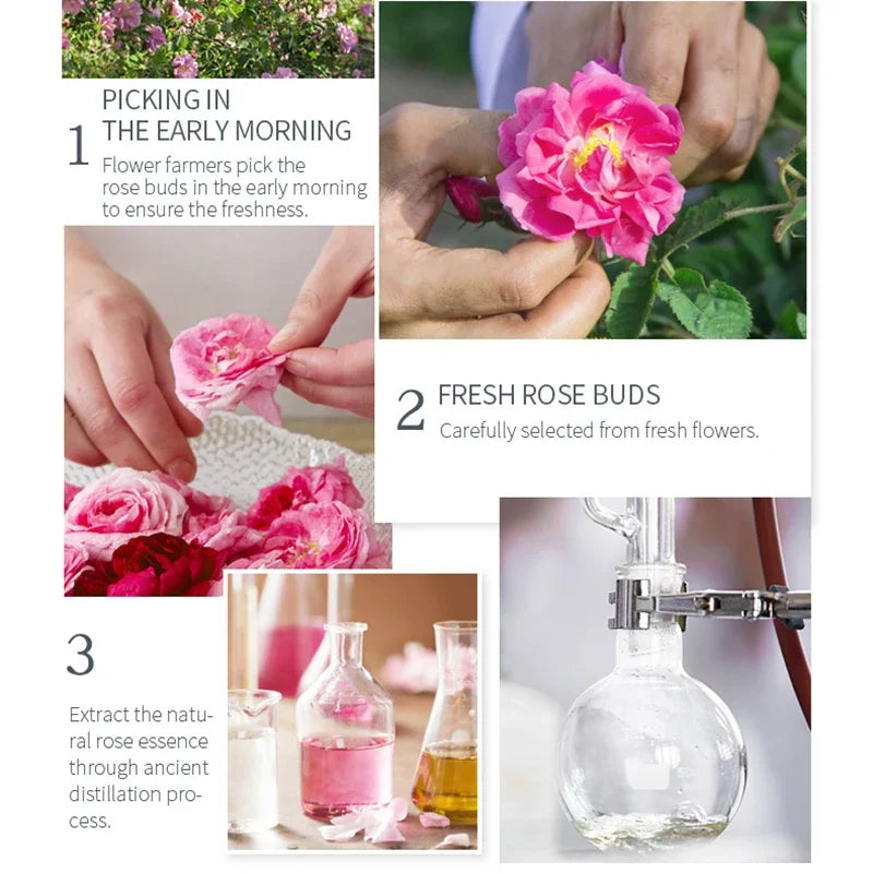 Damask Rose Hydrosol Rose Water Nourishing Skin Improve Dullness Facial Hydrating and Moisturizing Toner Face Serum Skincare