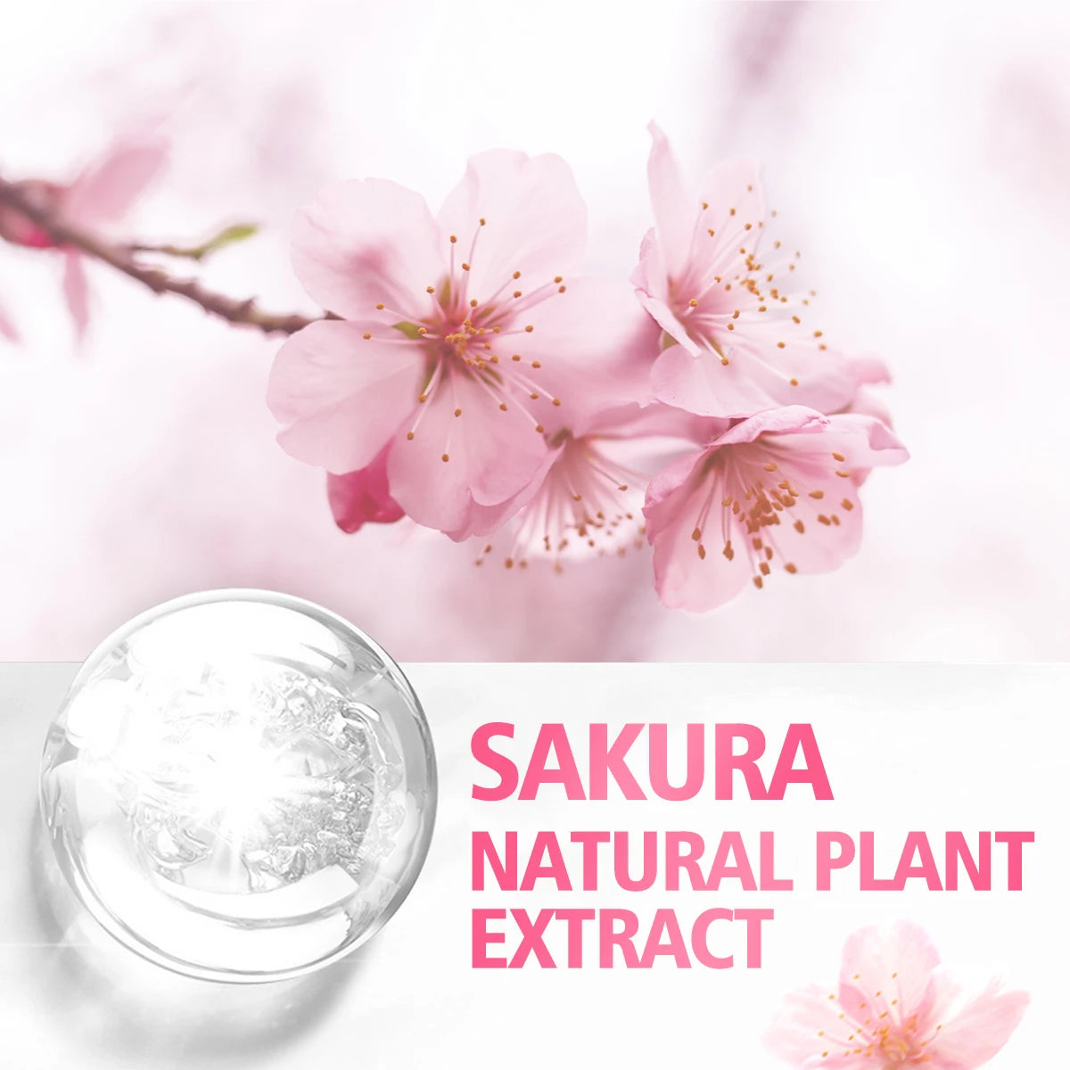 100ml/60ml/30ml Cherry Blossom Essential Oil is suitable for facial skin care, body care, aromatherapy, aromatherapy essential o
