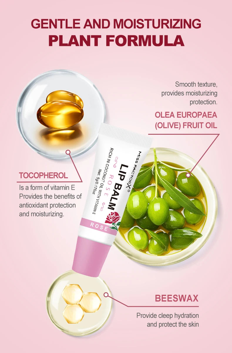 30-Piece MISS FACTORX Hyaluronic Acid and Collagen Infused Lipstick - Deep Moisturizing, Long-Lasting Lip Color, the Perfect GIF