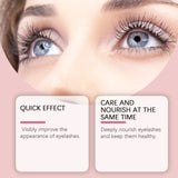 Camellia Seed Oil Eyebrow Growth Serum Hair Growth Anti Hairs Loss Prevent Baldness Fuller Thicker Lengthening Eyebrow Makeup