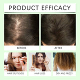 Rosemary Natural Shampoo Thickening & Strengthening Deep Nourishing Scalp Care Moisturizing Shampoo for Dry Damaged Hair Hair Home Use