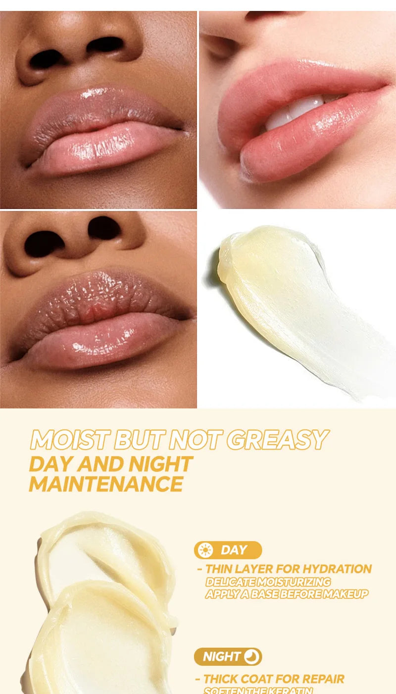 3-Piece Lip Balm Lipstick Base Lip Balm Makeup Natural Plant Anti-Scratch Lip Care Petroleum Jelly Lip Balm