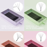 DIYDAY W-Shape Eyelash Extension 3d 4d 5d 6d 7d 8d W Lashes Natural Soft Premade Fan Bloom Effect Eye Lashes for Beauty Makeup