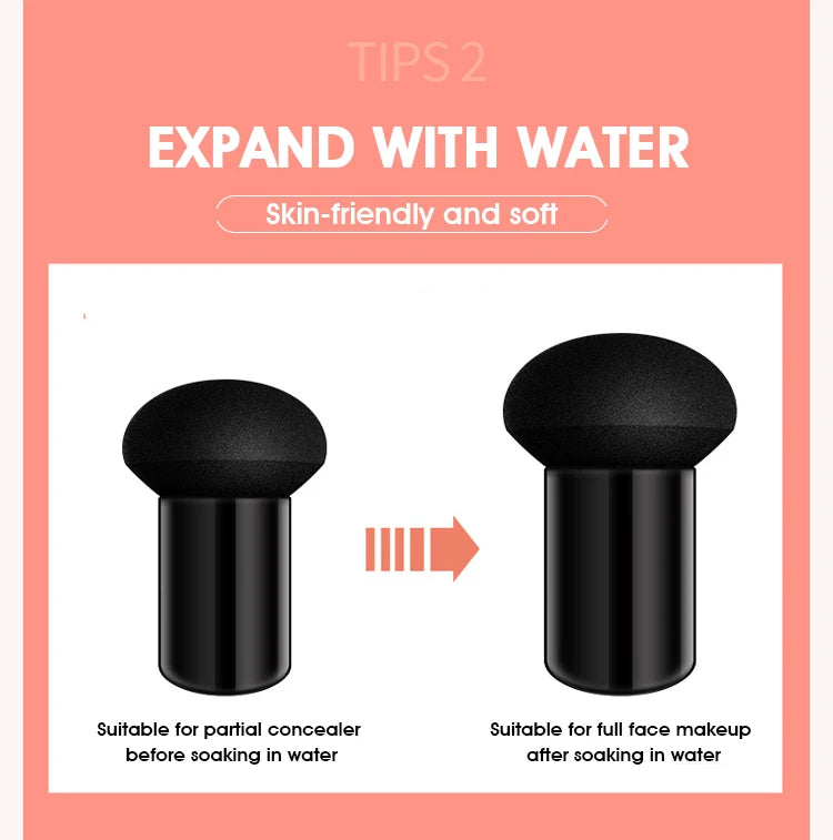 Mushroom Air Cushion plant Nourishing BB cream Concealer Moisturizing foundation fluid isolating plain cc cream