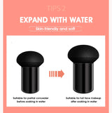 Mushroom Air Cushion plant Nourishing BB cream Concealer Moisturizing foundation fluid isolating plain cc cream