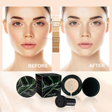 Instant Blur Mushroom Head Air Cushion BB Cream Foundation Full Coverage Matte Face Makeup Long Lasting Moisturizing Skin Tint