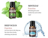 13 Flavors 10ml Essential Oils For Aroma Diffuser Air Humidifier Home Water-soluble DIY Versatile Deodorizing Spray Refresher