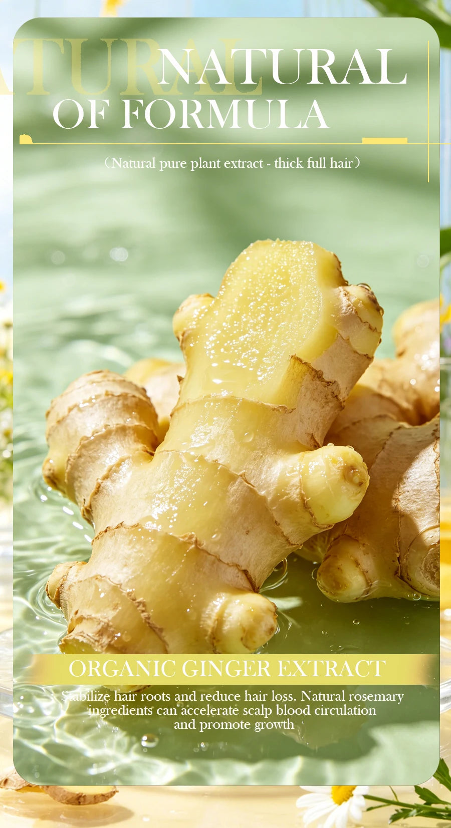 Shampoo Soap Ginger Solid Shampoo Bar Clean the Scalp Remove Oil Freshen and Wash Hair Ginger Extract