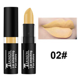 TEAYASON Matte Lipsticks 12 Colors Waterproof Long Lasting Lip Stain Non-stick Cup Sexy Red Black Lipstick Pigment Lip Cosmetics