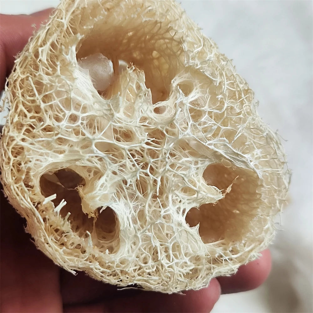 Natural Loofah Multi-Purpose Eco-Friendly Body Shower Sponge Home Cleaning Brush Exfoliating for Skin Tough on Stain Bathroom