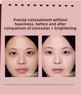 FLOWER KNOWS THE SWEETIE BEAR 4-Color Concealer Brighten Palette Covering Dark Circles Full Coverage Contouring Foundation