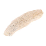 Bath Body Shower Sponge Scrubber Natural Loofah Luffa Loofa Bathing Massage Pot Bowl Scrubber Spa bathroom accessories