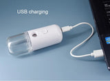 Nano Facial Mister Sprayer Portable Face Nano Mister for Eyelash USB Handy Skin Care Machine for Face Hydrating, Daily Makeup