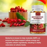 Berberine Capsules - Support Overall Health and Immune Function, Promote Digestion, Enhance Energy, Anti-oxidant and Anti-aging