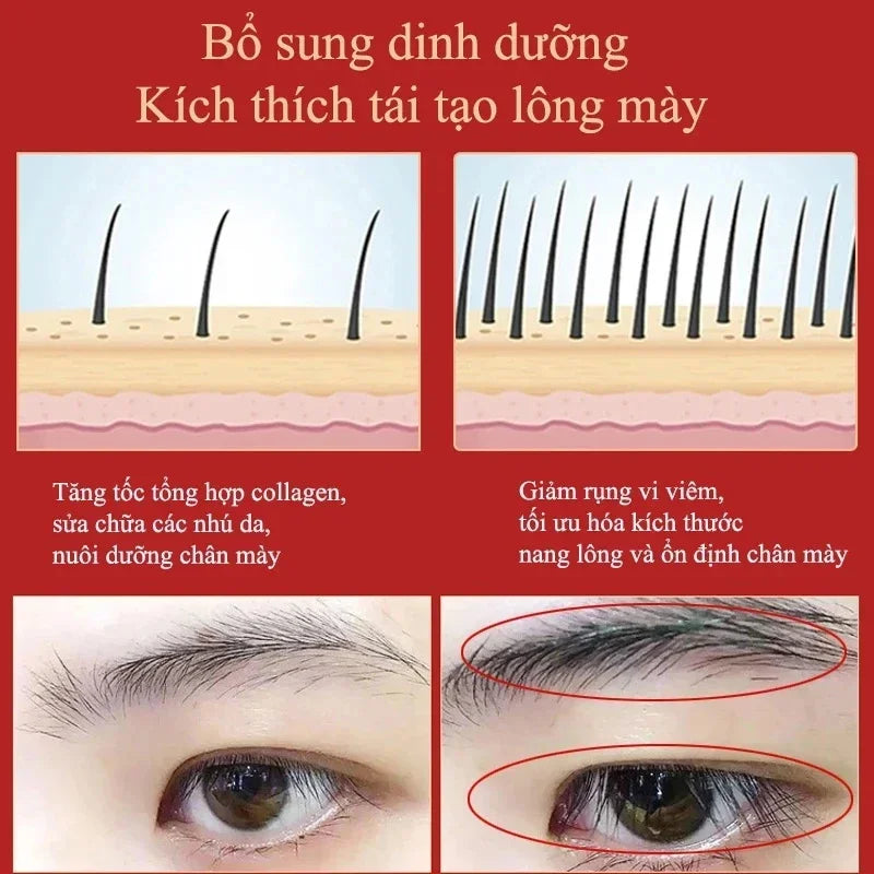 Eyebrow Growth Serum Fast Growing  Eyelash Prevent Hair Loss Damaged Treatment Thick Dense Eyes Makeup Care Products 2023