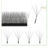 MARIA W Shape Eyelash Extensions  3D 4D 5D 6D 7D Premade Fans Speed Eyelash Extensions Natural Soft Light Full Dense