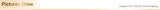 All in One Spf50 Sunscreen Brightening Foundation Cream Cover Anti UV Face Moisturizer Isolation Bleaching Sunscreen Lotion 50ml