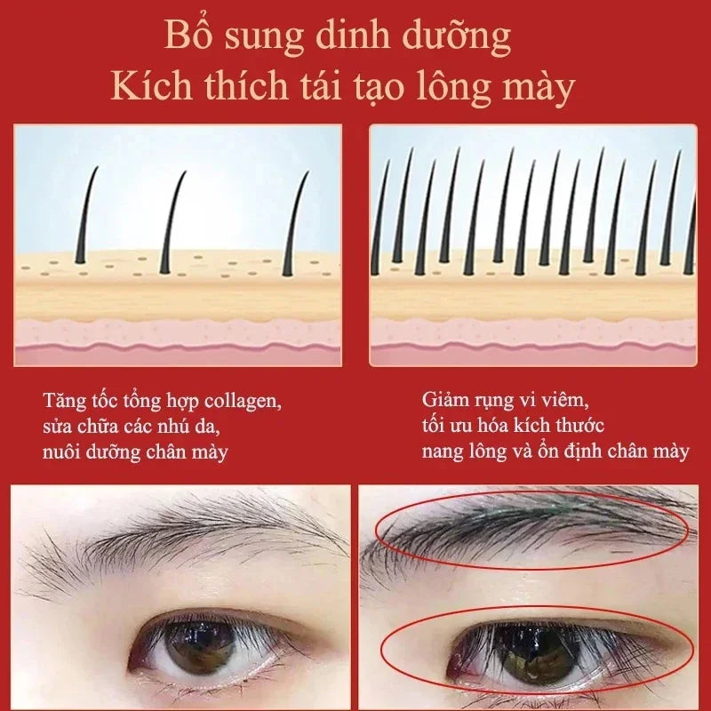 Eyebrow Growth Serum Fast Growing  Eyelash Prevent Hair Loss Damaged Treatment Thick Dense Eyes Makeup Care Products 2023