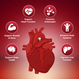 120pcs Organic Q10 Coenzyme 400mg Capsules Cardiovascular and Heart Health Energy Vitamins Beauty and Health
