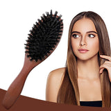 Natural Boar Bristle Brush Comb Anti-Static Oval Hairdressing Hair Styly Comb Wood Woman Hairbrush