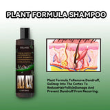 EELHOE Anti It-ching Shampoo Hair Growth Moisturizing Dry Frizzy Repair Damaged Hair Roots Strengthen Cleaning Scalp Treatment