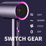 Professional Hair Dryer Negative Ion High Speed Fast Drying Low Noise Constant Temperature Portable Turbine Blower