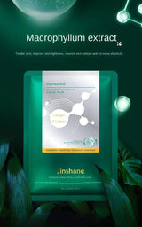 5pcs*30ml Hot Sale Seaweed Collagen Filling Crystal Mask Replenishing Fruit Jelly Skin Transparent Mask Skin Care Masque