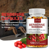 Berberine Capsules - Support Overall Health and Immune Function, Promote Digestion, Enhance Energy, Anti-oxidant and Anti-aging