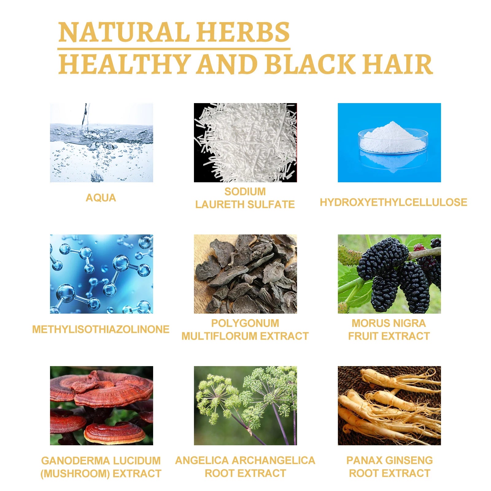 Black Ganoderma Lucidum Hair Liquid Clean Scalp Dirt Prevent Hair Loss Strengthen Hair Roots Nourish Hair Follicles Care Essence