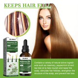 Rosemary Oil for Hair 50ml Scalp Treatment with Coconut Peppermint Oil Nourishing Hair Serum for Shine Strength All Hair Types