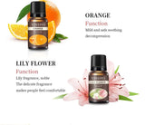 13 Flavors 10ml Essential Oils For Aroma Diffuser Air Humidifier Home Water-soluble DIY Versatile Deodorizing Spray Refresher