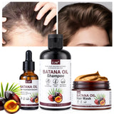 Tea Tree Shampoo Soothes Dry Scalp Controls Oil Moisturizes Hair Restores Natural Shine Sulfate Paraben Free For All Hair Types