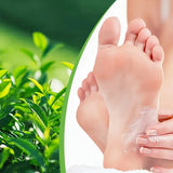 Tea Tree Foot Cream for Heel Dry Skin Care Exfoliate Dead Skin Soften Hydrate Moisturize Smooth Rough Skin Daily Foot Care Lotio