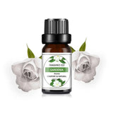 10Ml Essential Oil Fruit Flavor Natural Plant Making Diffuser Essential Oil Mango Pineapple Flavoring Oil for DIY Soap Candles